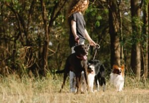 A girl with dogs