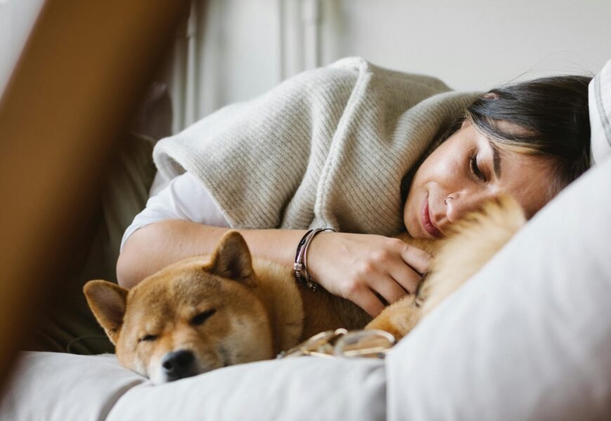 4 Hacks on Keeping Your Home Clean With Pets