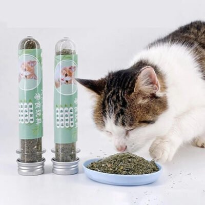 Cat Nip