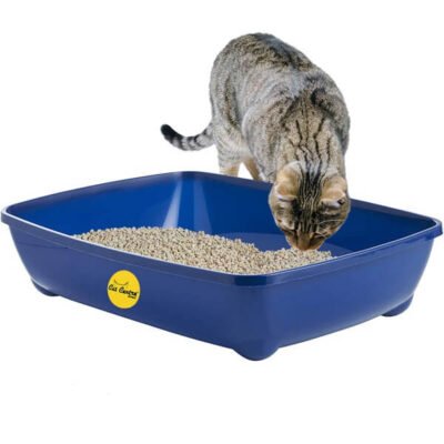 Litter Tray