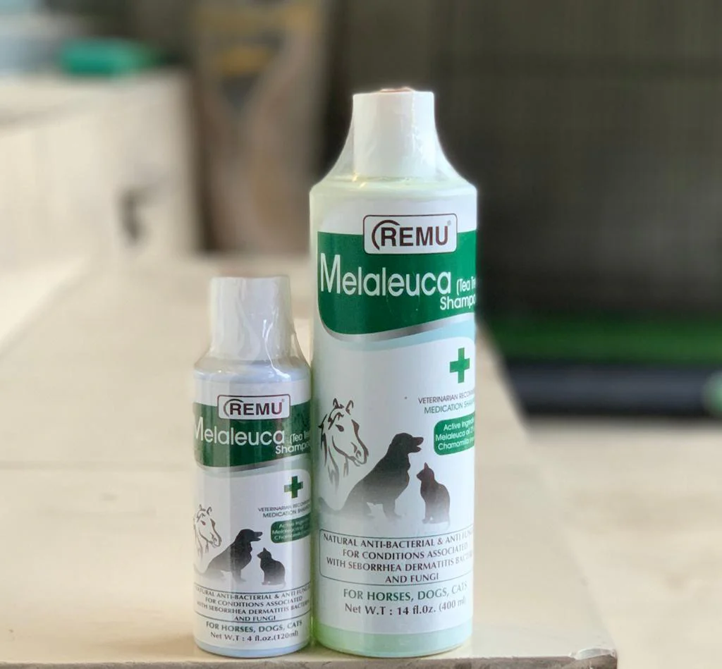 Melaleuca Tea Tree