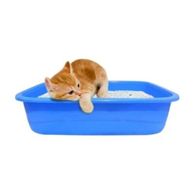 PawComfort Small Litter Tray for Kittens