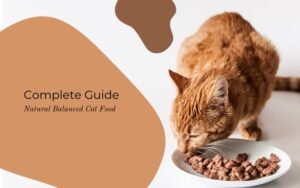 Natural Balance Cat Food