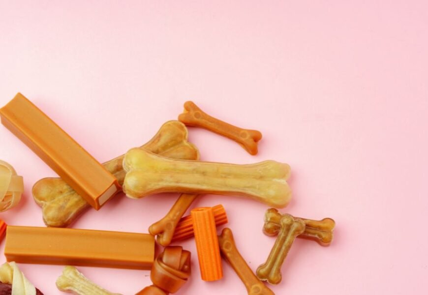 Are Benebones Safe for Dogs