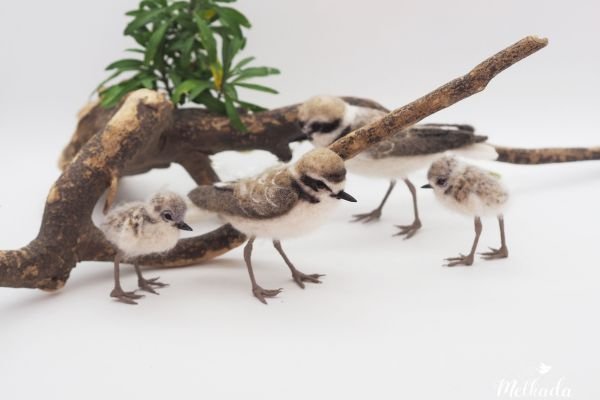 Gifts for Bird Lovers